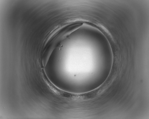 X0000069410793200605121240