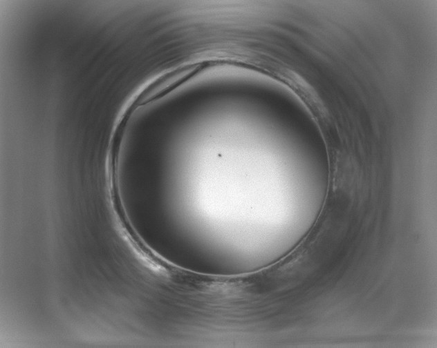 X0000069410796200605121240