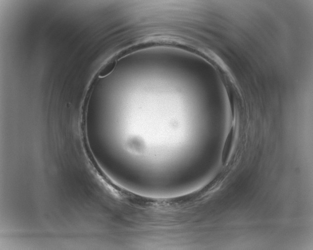 X0000069410799200605121240