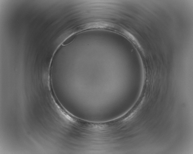 X0000069410802200605121240