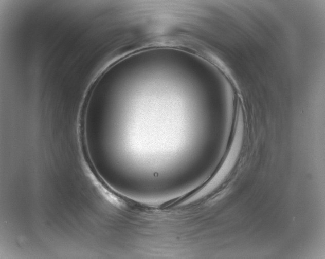 X0000069410803200605121240