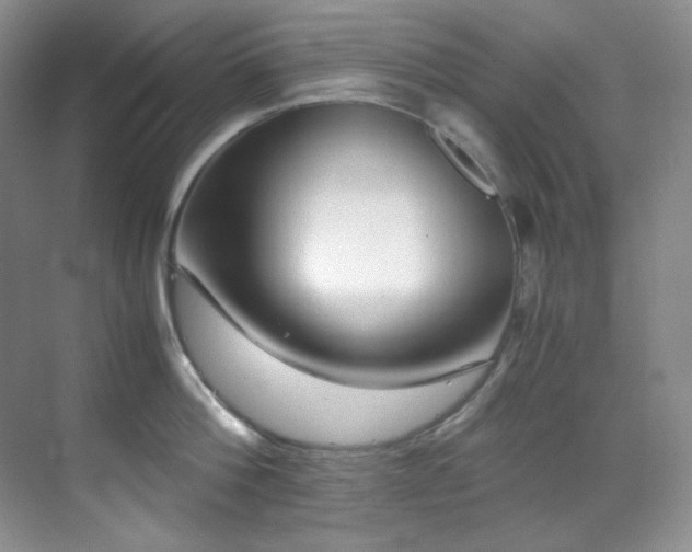 X0000069410812200605121239