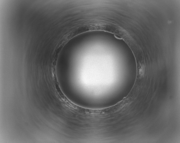 X0000069410819200605121239