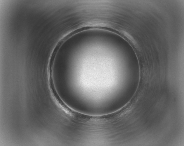 X0000069410840200605121239