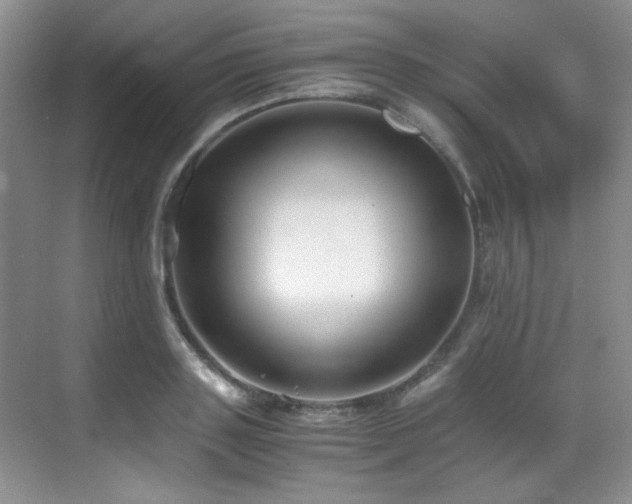X0000069410843200605121239