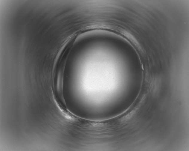 X0000069410849200605121239