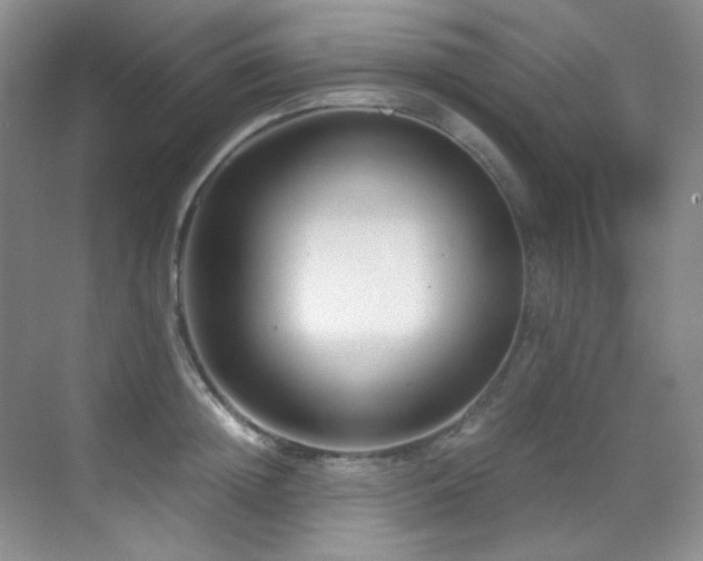 X0000069410852200605121239