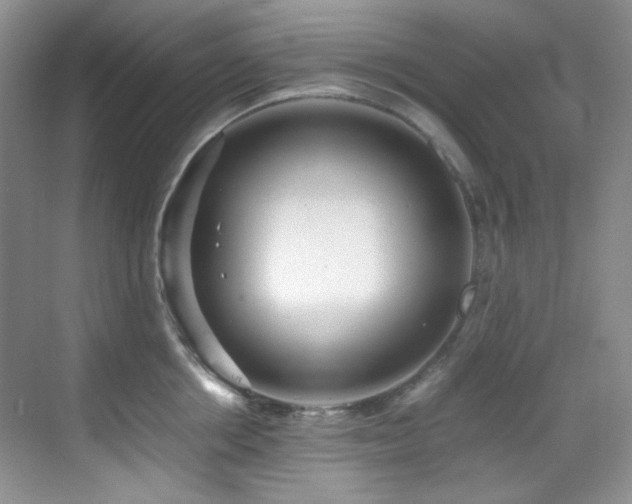 X0000069410858200605121239