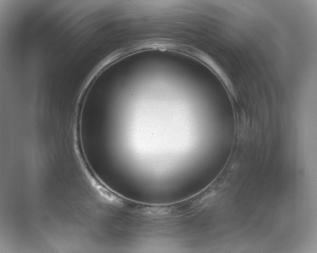 X0000069410861200605121239