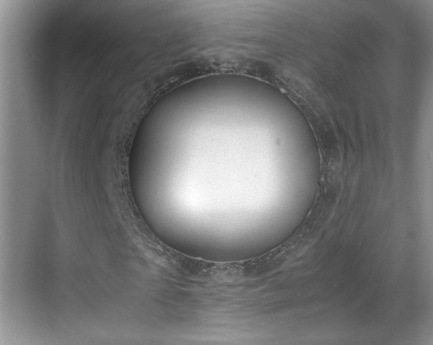 X0000069410865200605121239