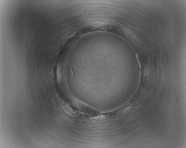 X0000069410868200605121238