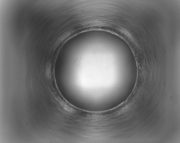 X0000069410873200605121238