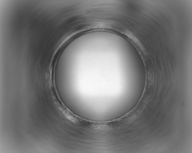 X0000069410886200605121238