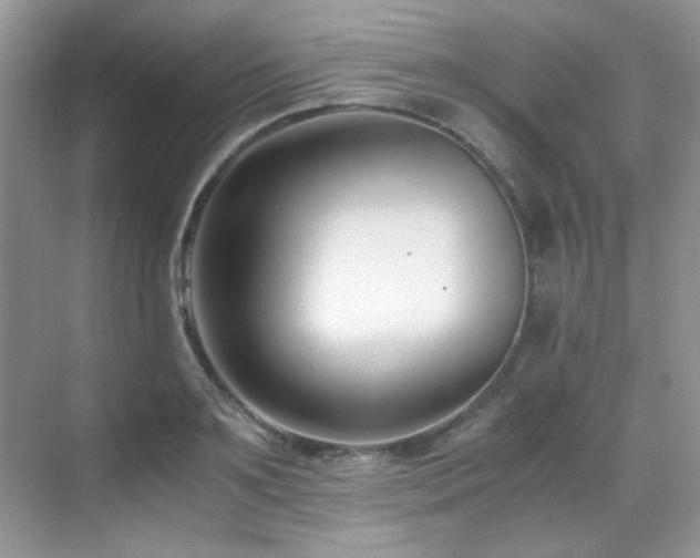 X0000069410891200605121238