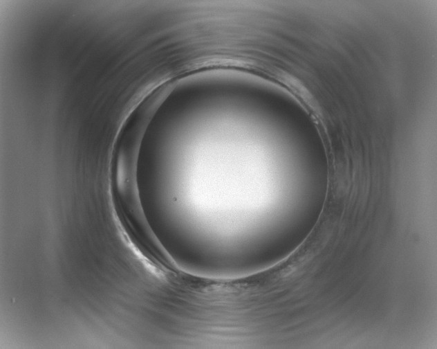 X0000069410898200605121238
