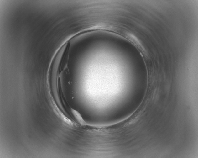 X0000069410900200605121238