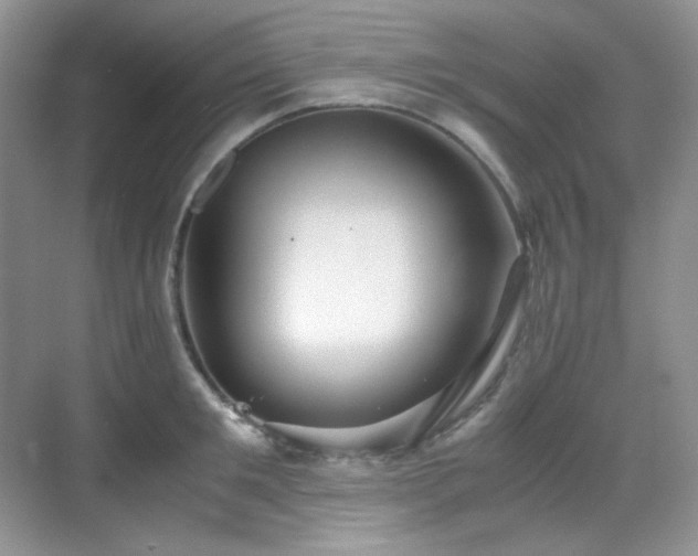 X0000069410901200605121238