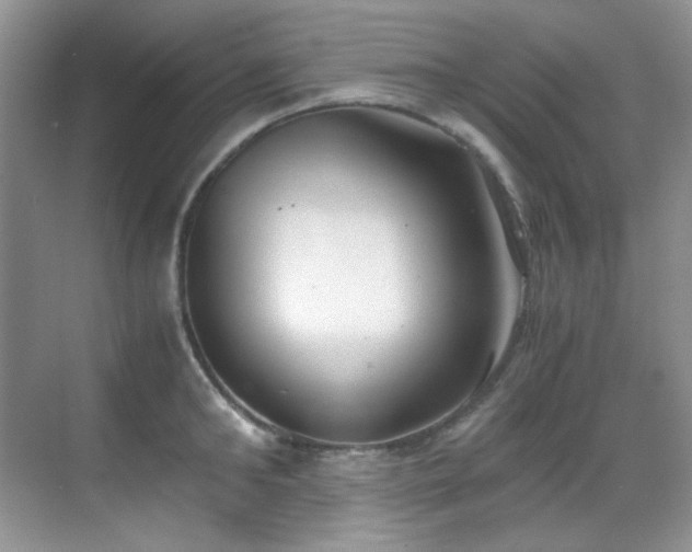 X0000069410902200605121238