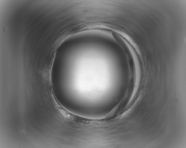 X0000069410905200605121238