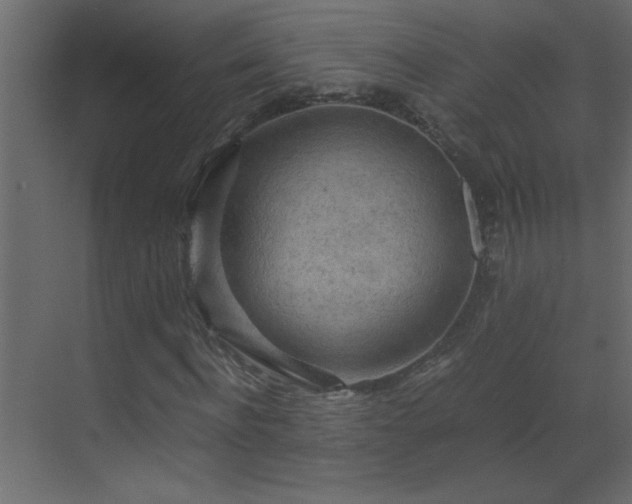 X0000069410916200605121237