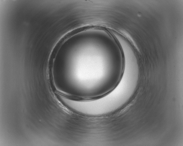 X0000069410924200605121237