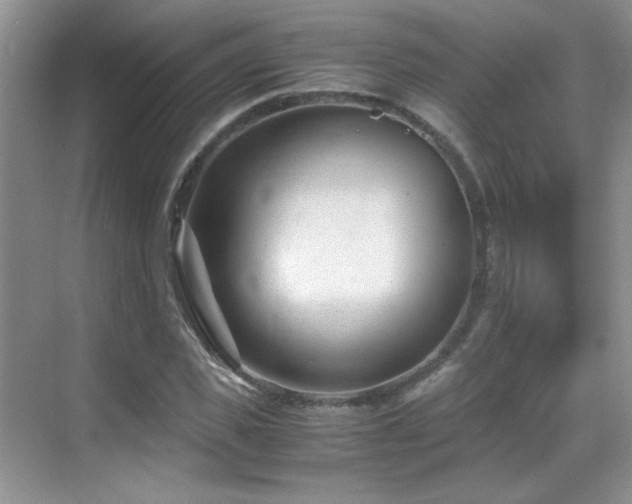 X0000069410925200605121237