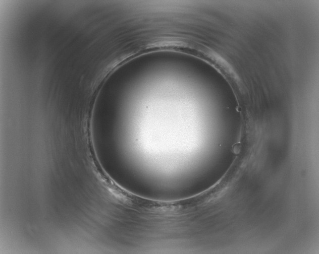 X0000069410937200605121237