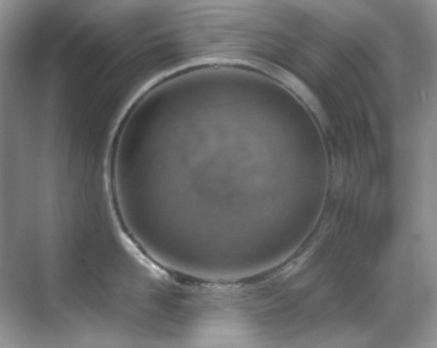 X0000069410958200605121238
