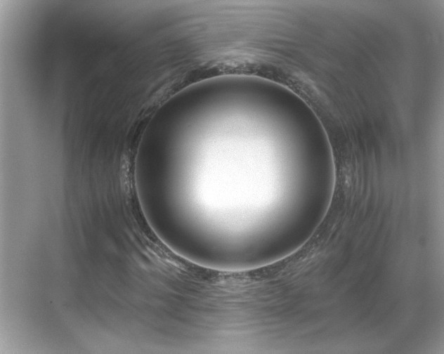 X0000069410964200605121237