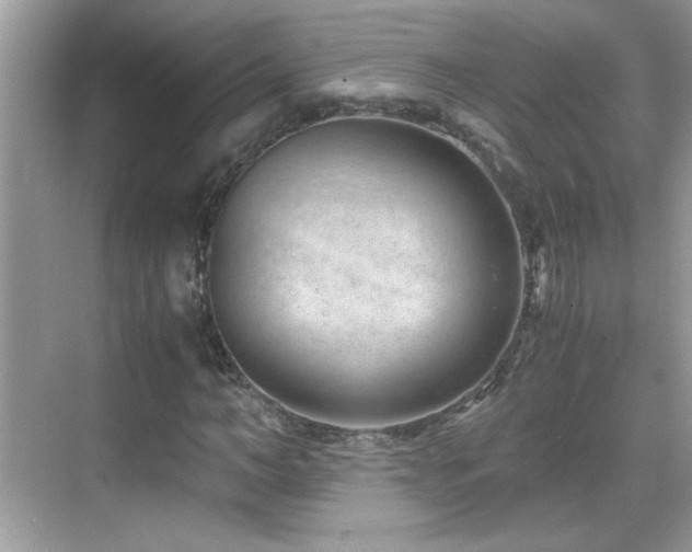 X0000069410966200605121237