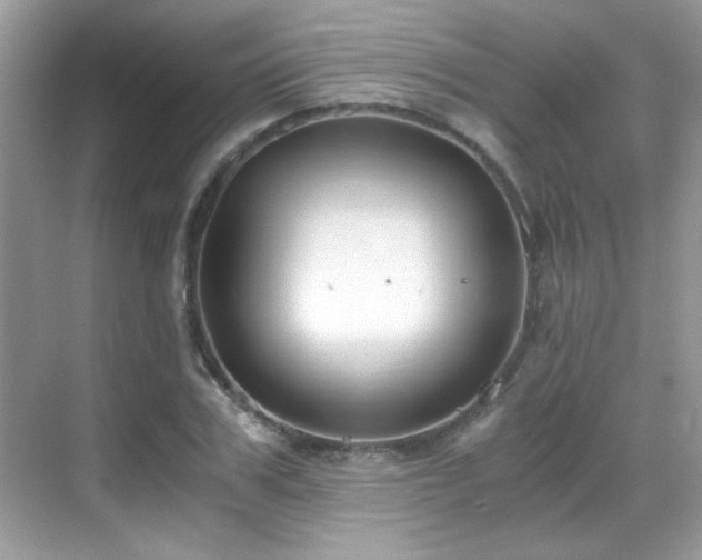 X0000069410979200605121237