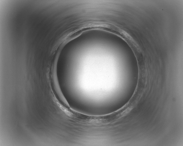 X0000069410985200605121236