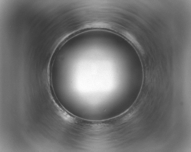 X0000069410988200605121236