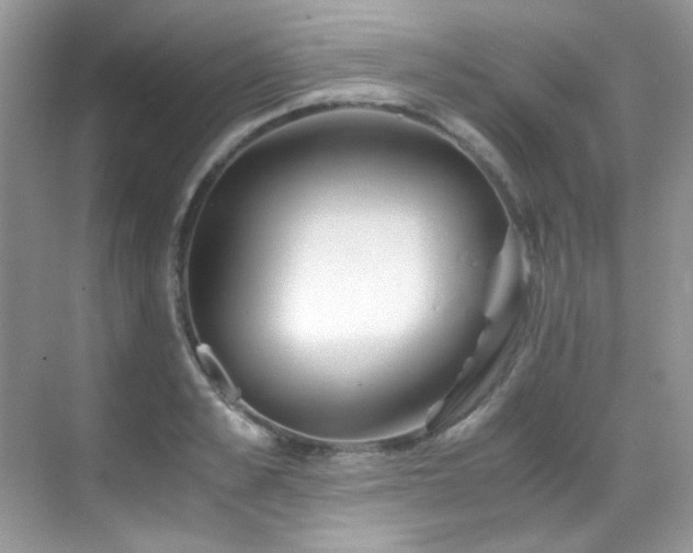 X0000069410989200605121236