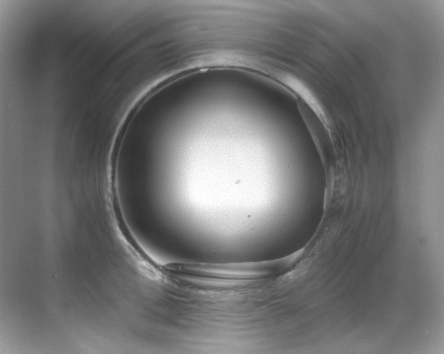 X0000069410996200605121236