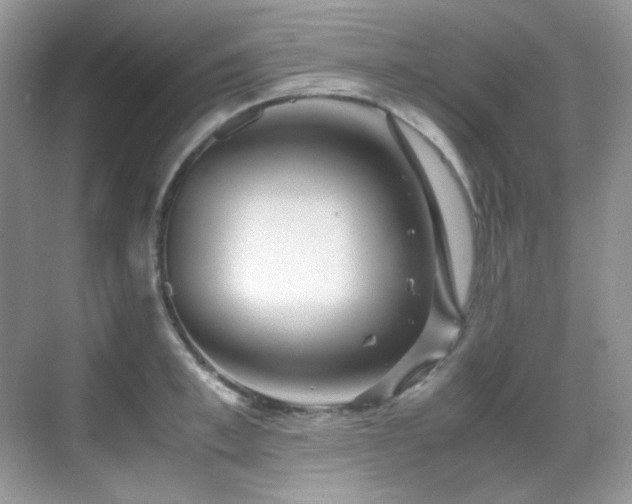 X0000069410997200605121236