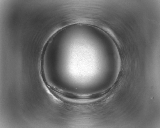X0000069410999200605121236