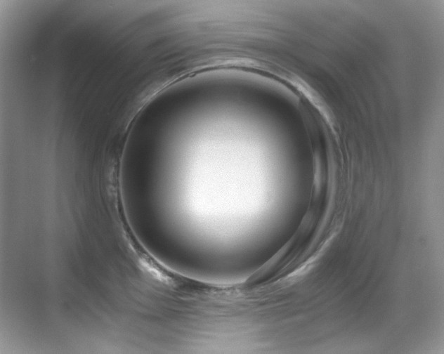 X0000069411001200605121236