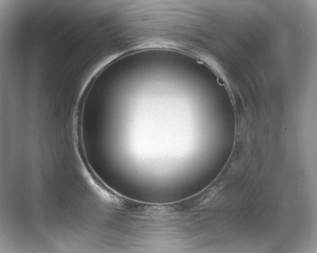 X0000069411003200605121236