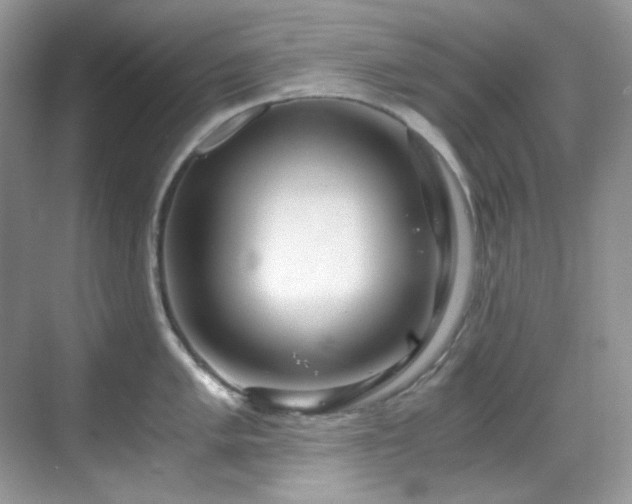 X0000069411005200605121236