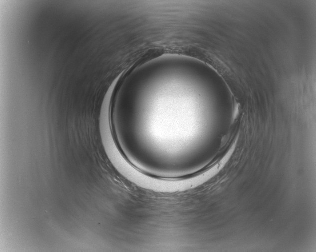 X0000069411010200605121235