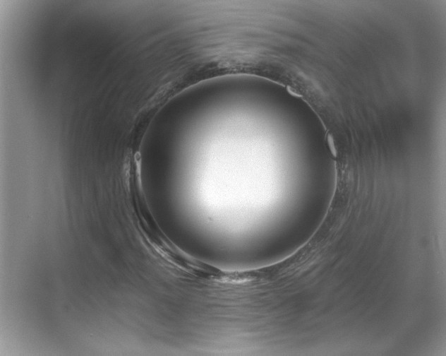 X0000069411012200605121235