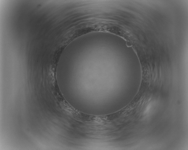 X0000069411013200605121235
