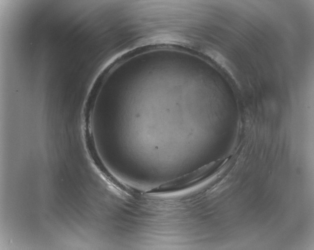 X0000069411024200605121236