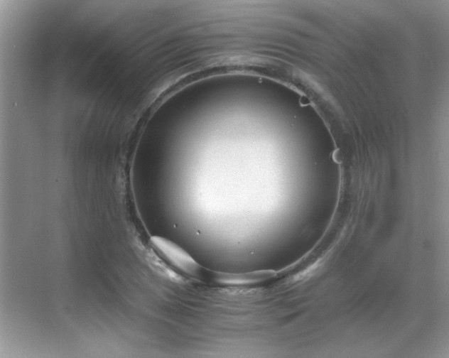 X0000069411025200605121236