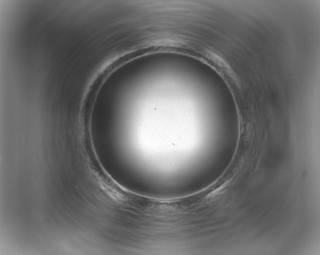 X0000069411027200605121236