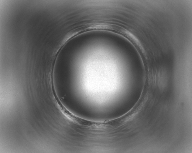 X0000069411041200605121236