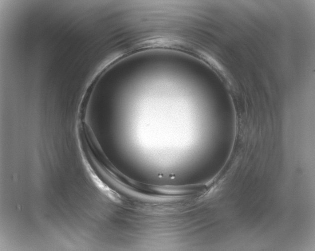 X0000069411042200605121236