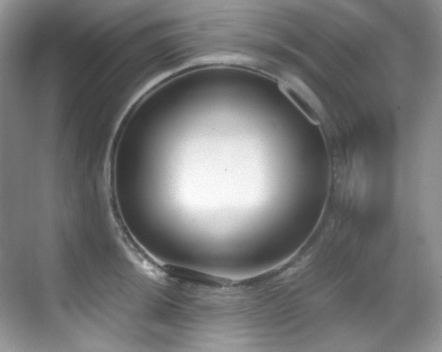 X0000069411044200605121236
