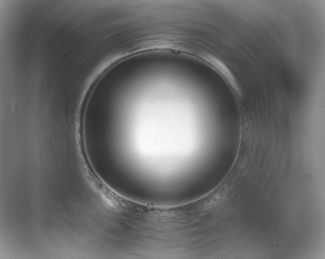 X0000069411051200605121236